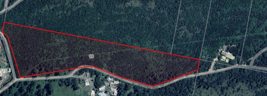 Commercial Property for Sale in Summerpride Eastern Cape